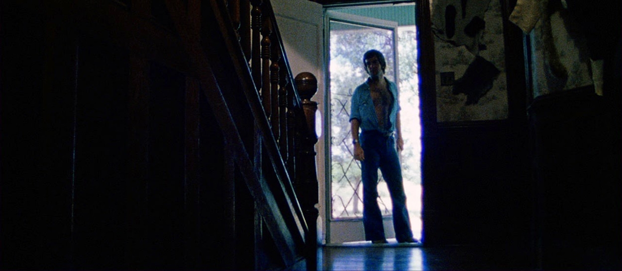 2. The Texas Chain Saw Massacre (1974) image